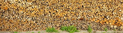 Firewood: local, natural energy